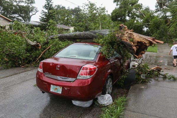 What is Comprehensive Auto Insurance Coverage?